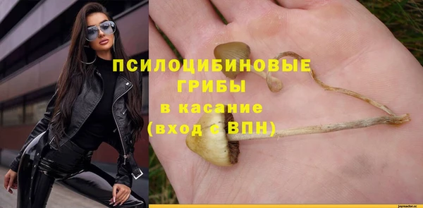 сатива Инсар