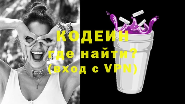 сатива Инсар
