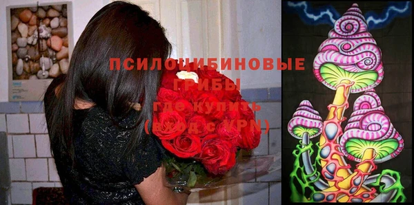 Альфа ПВП Инта