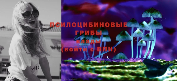 Альфа ПВП Инта