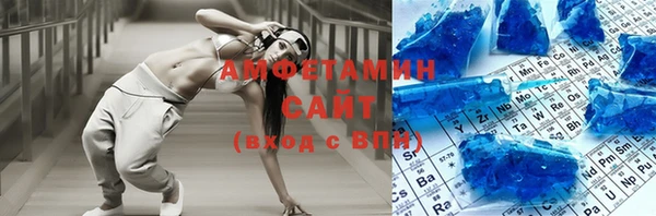 сатива Инсар